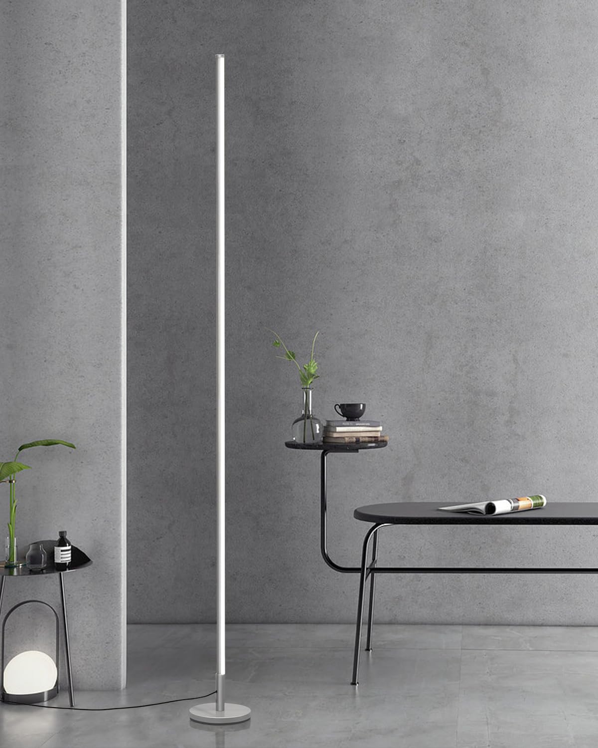 Minimalist Dimmable LED Floor Lamp
