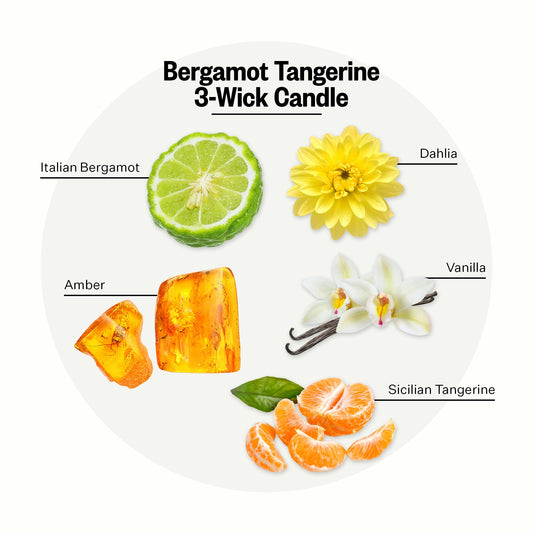3-Wick Soy Wax Aromatherapy Scented Candle
