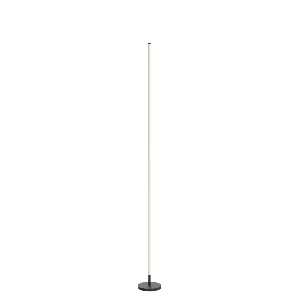 Minimalist Dimmable LED Floor Lamp
