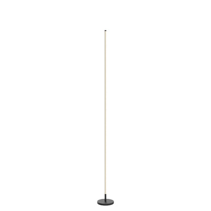 Minimalist Dimmable LED Floor Lamp