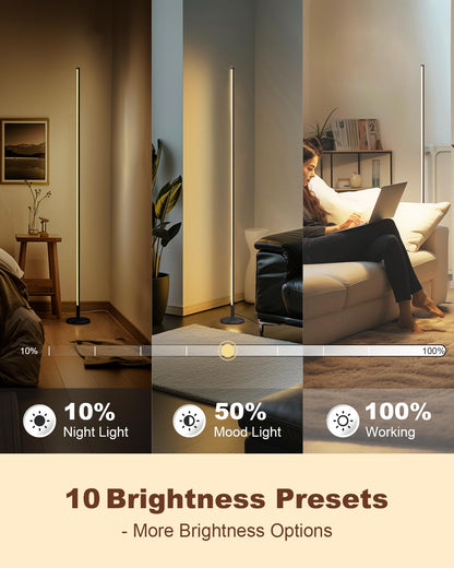 Minimalist Dimmable LED Floor Lamp